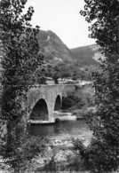 LOZERE  48   CHANAC  LE PONT VIEUX SUR LE LOT - Chanac