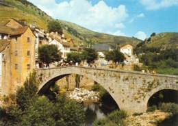 LOZERE  48  LE PONT DE MONTVERT  LE PONT SUR LE TARN ET LA VIEILLE HORLOGE - Le Pont De Montvert