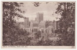 Wells Cathedral From Tor Hill, Somerset. Unposted - Wells