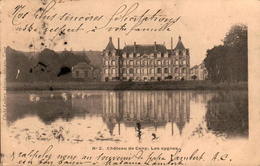 76 - Château De CANY - Les Cygnes - Cany Barville