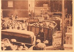 (*). (1939ca). Tarjeta Postal Ilustrada (sin Inutilizar) Del Campo De Refugiados De Argeles Sur Mer (camiones De Pan Des - Altri & Non Classificati