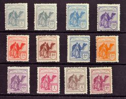 *1/12N. 1924. Serie Completa. NºA000.000. MAGNIFICA Y RARA. Edifil 2013: 532 Euros - Other & Unclassified