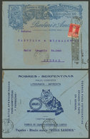 ARGENTINA: Advertising Cover For Envelope Factory, Used In Buenos Aires On 5/DE/1923, VF Quality - Brieven En Documenten