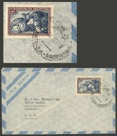 ARGENTINA: JUL/1957: Buenos Aires - Colorado (USA), Airmail Cover Franked With $2 Fruit Imperforate Variety, VF Quality  - Brieven En Documenten