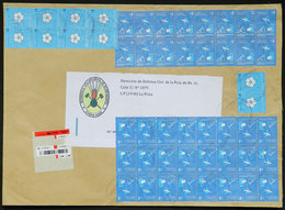 ARGENTINA: Registered Cover Sent From 30 De Agosto To La Plata On 13/MAR/2015, Franked With 10x $1 "Football For Everyon - Briefe U. Dokumente