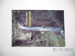 Springbrook. - Purlingbrook Falls. - Other & Unclassified