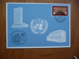 (D) UNITED NATION USA MAXIMUMKAART 08-11-1980 - Cartoline Maximum