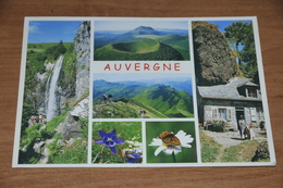 6355-  AUVERGNE - Auvergne Types D'Auvergne