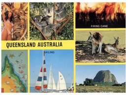 (222)  Australia - QLD - Mix Views - Sunshine Coast