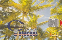 Cape Verde - Palm Trees - Coqueiros II - Kaapverdische Eilanden