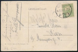 1917 Képeslap Turul 5f Perfin Bélyeggel Bérmentesítve 'BU(DAPEST)' - Wien - Autres & Non Classés