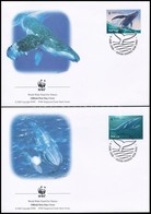 2006 WWF: Bálnák Sor 2 értéke 2 FDC-n Mi 2681-2682 - Autres & Non Classés