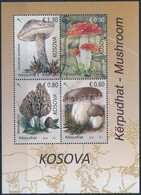 ** 2016 Gomba Blokk,
Mushroom Block
Mi 38 - Altri & Non Classificati