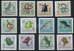 ** 1963 Hüllők Sor,
Reptiles Set
Mi 1393 - 1404 - Autres & Non Classés