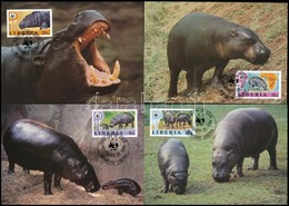 1984 WWF: Törpe Víziló Sor 4 Db CM-en,
WWF: Pygmy Hippopotamus Set On 4 CM
Mi 1315-1318 - Other & Unclassified