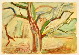 Somlai Vilma (1938-2007): Öreg Fa, Akvarell, Papír, Jelzett, 43×61 Cm - Autres & Non Classés