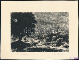 Tarjáni Simkovits Jenő (1895-1995): Szemben A Nappal. Rézkarc, Papír, Jelzett, 11,5×17 Cm - Other & Unclassified