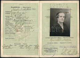 1931 A Magyar Királyság által Kiállított Fényképes útlevél, Sok Bélyegzéssel / Hungarian Passport - Non Classés