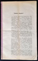 1872 Viola Imre: Szabad Királyi Pest Város Tekintetes Közgyűléséhez írt A Városi Vízvezetéki Mű Vizsgálatára Kőzgyülésil - Sin Clasificación