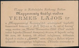 1895 Vermes Lajos (1860-1945): Neves Sportoló, Sportszervező, Vívómester és Tornatanár Névjegykártyája, A Hátoldalán Saj - Ohne Zuordnung