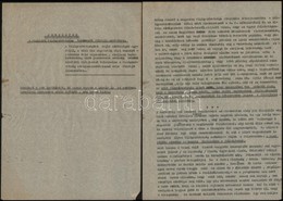 1949 Jegyzetek A Magyarok Világszövetsége Tervezett Fölfejlesztéséhez Barta Lajos Elnök Gépirata. 9 P - Ohne Zuordnung