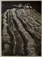 Cca 1975 Gebhardt György (1910-1993) Budapesti Fotóművész Hagyatékából Feliratozott, Vintage Fotóművészeti Alkotás, 39,5 - Altri & Non Classificati