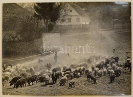 Cca 1937 Osoha László (1899-1970) Budapesti Fotóművész Hagyatékából Jelzés Nélküli Vintage Fotóművészeti Alkotás (Konda) - Autres & Non Classés