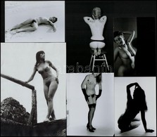 Cca 1978 Közös Téma, Szolidan Erotikus Felvételek, 5 Db Vintage Negatív, + 12 Db Vintage Fotó és/vagy Mai Nagyítás, A Ne - Autres & Non Classés