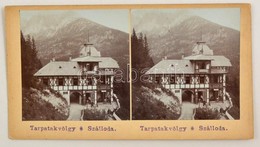 1905 Tarpatakvölgy, Tátra, Szálloda, Hotel, Sztereófotó, 10x18 Cm - Otros & Sin Clasificación