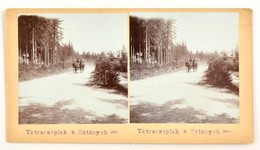 1905 Tátraszéplak (Tatranska Polianka), Sétányok, Sztereófotó, 10x18 Cm - Autres & Non Classés