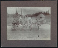 1906 Tarcsa, Lovaskocsi, Fotó Kartonon, 10,5x13 Cm - Otros & Sin Clasificación