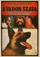 1984 Szyksznian Wanda (1948-): A Vadon Szava, Angol Film Plakát, Jack London Regénye Alapján, Főszerepben: Charlton Hest - Sonstige & Ohne Zuordnung