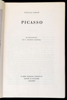 Kállai Ernő: Picasso. Bp.,1948,Új Idők Irodalmi Intézet Rt.(Singer és Wolfner),(Hungária-ny.), 86 P.+LXXX T. Kiadói Félv - Non Classificati