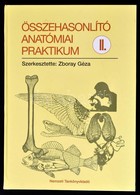 Zboray Géza: Összehasonlító Anatómiai Praktikum. II. Bp., 1995. Nemzeti Tankönyvkiadó - Non Classés