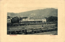 * T2/T3 Petrozsény, Petrosani; Pályaudvar, Vasútállomás, Vagonok. W. L. Bp. 5395. / Railway Station, Wagons (EK) - Non Classificati