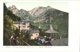 ** T1 Tátra, Tatry; Tarpatakfüred. Cattarino Kiadása / Bad Kohlbach - Non Classificati