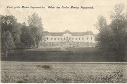 T2 Nekcse, Nasice; Gróf Pejacsevich Kastély / Dvor Grofa Marka Pejacsevicha / Castle - Non Classés