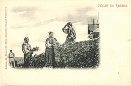** T1/T2 Salutari Din Romania. Editura Ad. Maier & D. Stern / Romanian Folklore, Girls In Traditional Costumes (EK) - Ohne Zuordnung