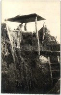 ** T2 Homokpadon Kialakított Lövészárok Fedett Puskaállása / WWI Austro-Hungarian K.u.K. Trenches Made In The Sand Beds, - Zonder Classificatie