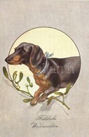 ** T2 Fröhliche Weihnachten / Dachshund, Christmas Greeting Art Postcard. B.K.W.I. 2626-6. - Ohne Zuordnung