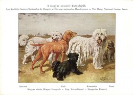 ** T1/T2 Magyar Nemzeti Kutyafajták. A Magyar Ebtenyésztők Országos Egyesületének Lapja; Kuvasz, Magyar Vizsla, Puli, Ko - Unclassified