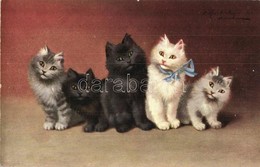 ** T1 Five Cats. T. S. N. Serie 648. S: Sperlich - Non Classés