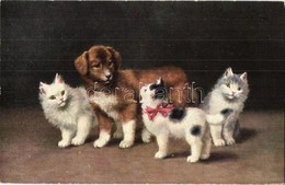 ** T1 Cats With A Dog. T. S. N. Serie 671. S: Sperlich - Zonder Classificatie