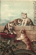 T2 1901 Cats Playing With A Bicycle Seat. Serie 176. Litho - Zonder Classificatie