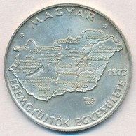 Csúcs Viktória (1934-) 1973. 'MÉE Budapest - Magyarország' Ag Tagsági Emlékérem (~24,59g/0.800/42,5mm) T:1- Patina
Adamo - Unclassified