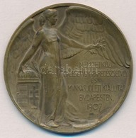 Juhász Gyula (1876-1913) 1907. 'Nemzetközi Balesetügyi, Iparegészségügyi és Munkás Jóléti Kiállítás Budapesten'  Br Emlé - Non Classés
