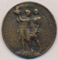 Sződy Szilárd (1878-1939) 1938. 'Magyar Főiskolai Sportegyletek Egyesülése - 1907' Br Díjérem, 'LUDVIG' Gyártói Jelzésse - Non Classés