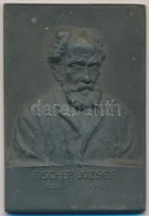 ~1916. 'Fischer József 1838-1916' Zn Emlékplakett (49x70mm) T:1- Kis Oxidáció - Non Classificati