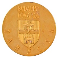 DN 'Pro Urbe / Budapest Főváros Tanácsa' Kétoldalas, Aranyozott Ag Emlékérem, Peremén Jelzett, Dísztokban (72,014g/0.925 - Non Classés