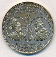 Német Birodalom / Szászország 1889. 'A Wettin-ház 800. éves évfordulója 1089-1889' Fém Emlékérem (28,5mm) T:2 Patina, Fü - Non Classificati